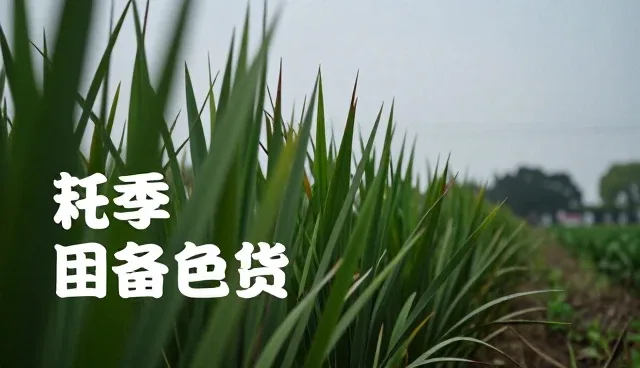 短视频广告投放中的性能要求与使用误区